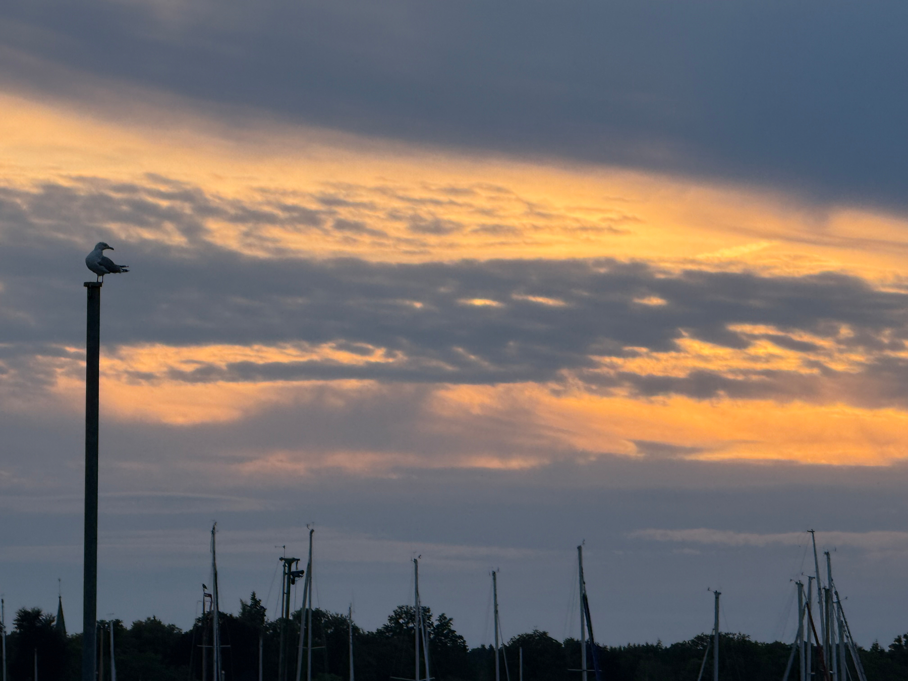 Ein Möwe sitzt auf einem Pfosten vor einem Hafen mit mehreren Booten unter einem dramatischen, wolkigen Sonnenuntergangshimmel.